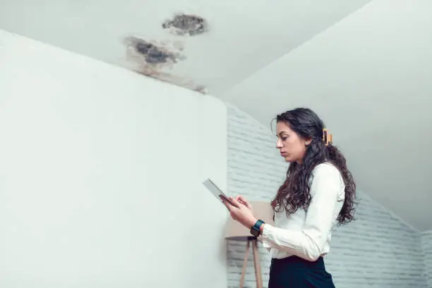 Person swabbing a ceiling for mold testing